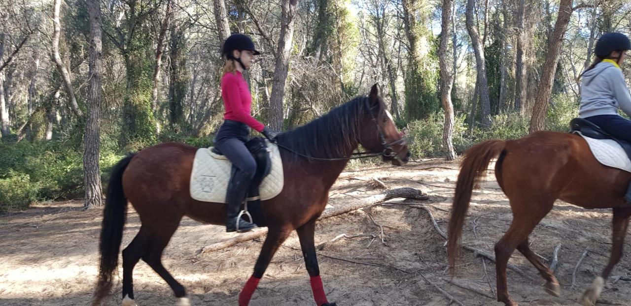 Willa Preciosa Zona Natural La Mora Tarragona Zewnętrze zdjęcie